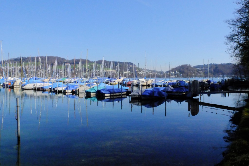 Tribschenhorn Hafen
